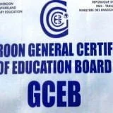 Cameroon General Certificate of Education (GCE) Cameroon GCE Results 2024