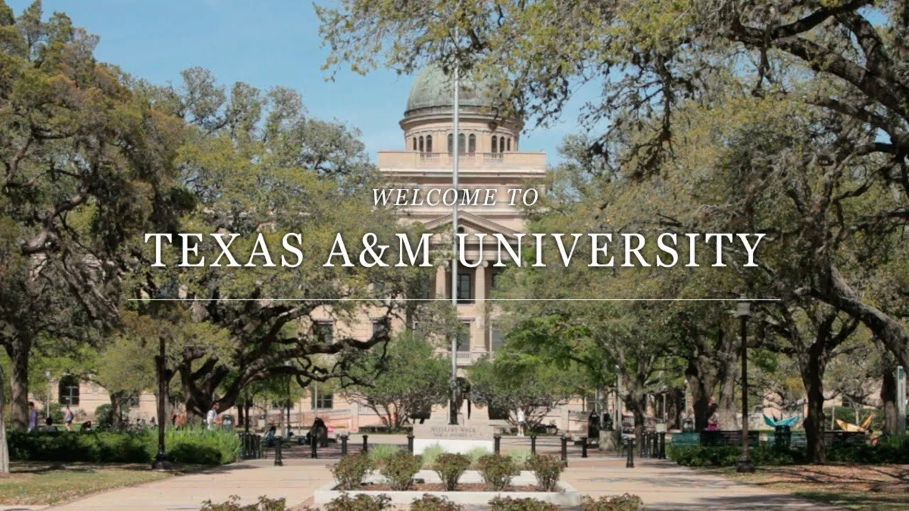 Texas A&m Essay Prompts [Supplemental Essays With Examples] | Texas A&M University Acceptance Rate in Admissions