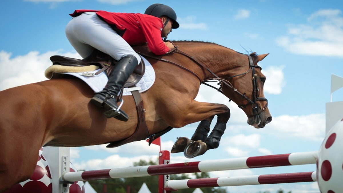 12-best-horse-riding-academy-in-the-world-equestrian-boarding-schools