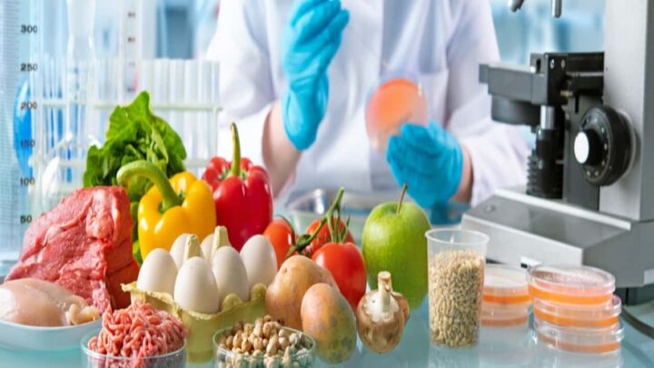 phd food and nutrition colleges in india