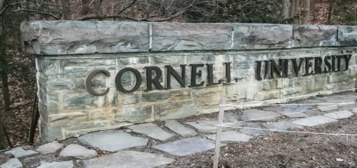 What Is Cornell University Acceptance Rate? | Admissions Requirements