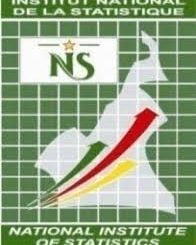 Cameroon National Institute of Statistics • KamerPower